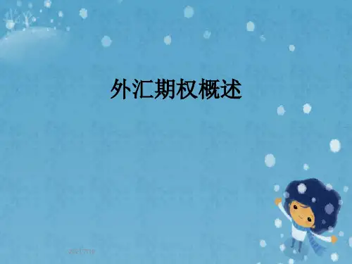 外汇期权概述