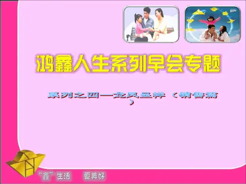 保险公司鸿鑫人生产品特色卖点话术页精品PPT课件