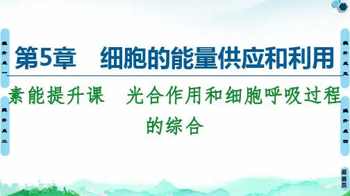 【新教材】光合作用和细胞呼吸过程的综合 课件 【新教材】人教版高中生物必修第一册