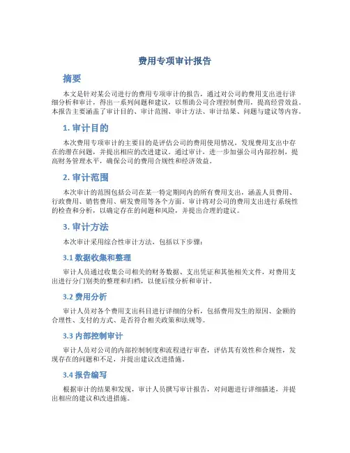 费用专项审计报告