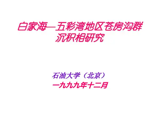 《油区岩相古地理》沉积相研究实例新新