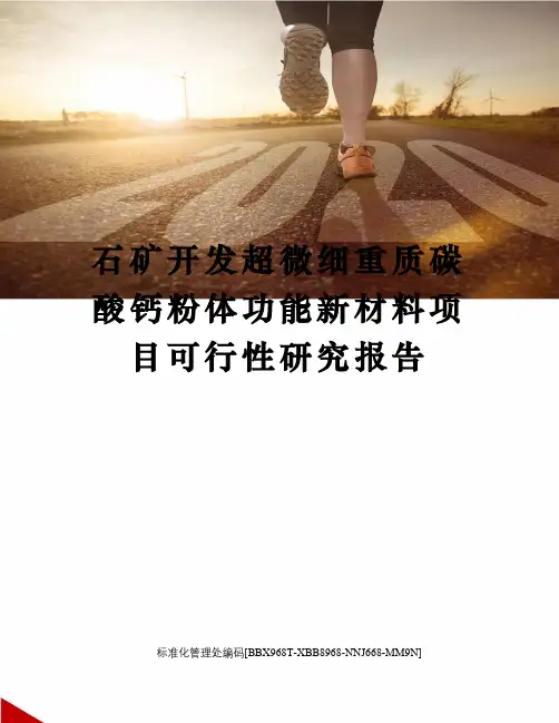 石矿开发超微细重质碳酸钙粉体功能新材料项目可行性研究报告