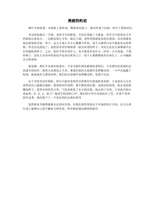 美丽的约定