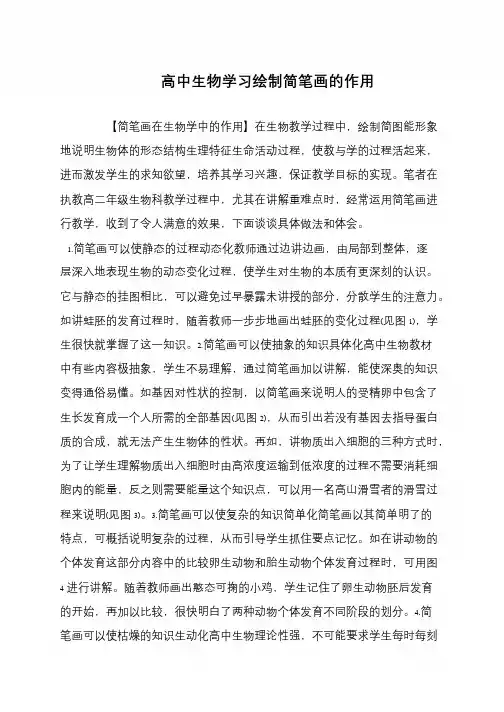 高中生物学习绘制简笔画的作用