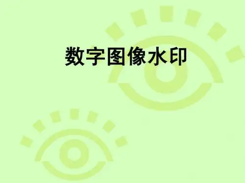 数字水印