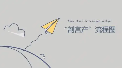 (医学课件)剖宫产流程图(手绘板)
