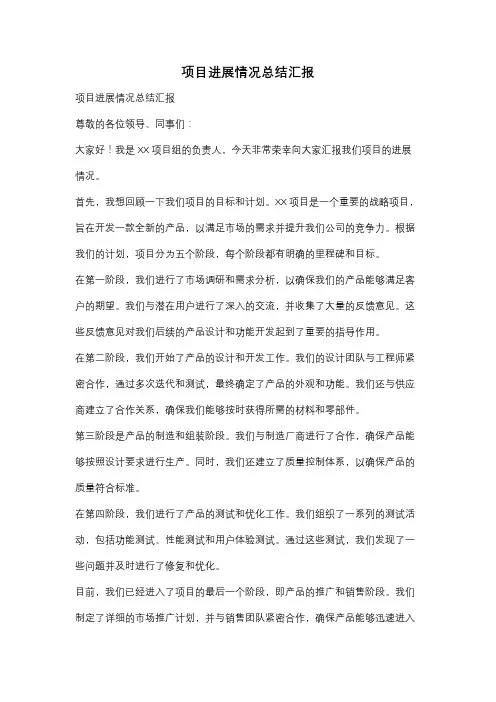 项目进展情况总结汇报