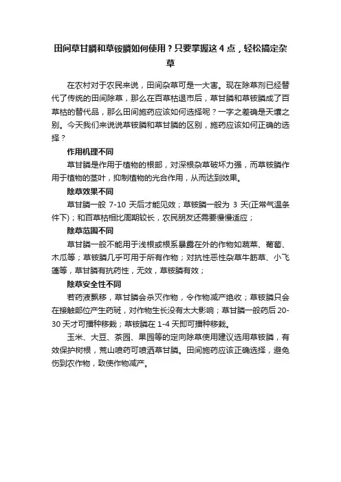 田间草甘膦和草铵膦如何使用？只要掌握这4点，轻松搞定杂草