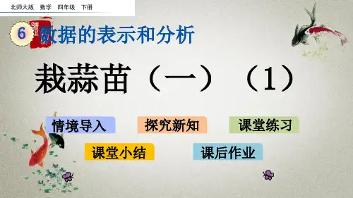 北师大版数学四年级下册《第六单元 数据的表示和分析栽蒜苗(一)(1)》课件