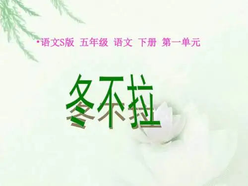 五年级下册《冬不拉》PPT(语文S版)