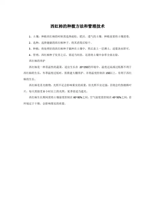 西红柿的种植方法和管理技术