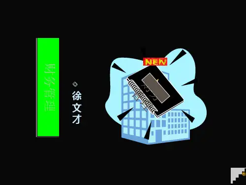 徐文才《财务管理》