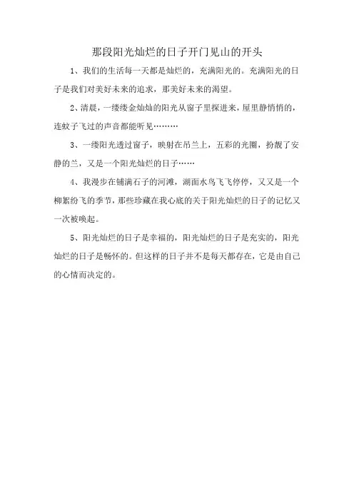 那段阳光灿烂的日子开门见山的开头