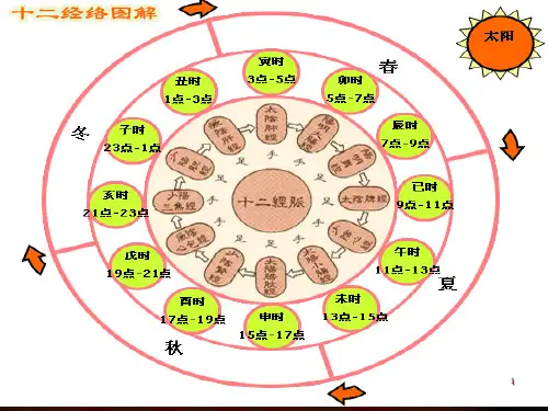 课件中医经络养生之十二时辰养生课件