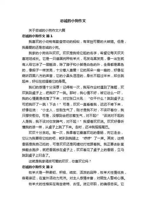 关于忠诚的小狗作文六篇