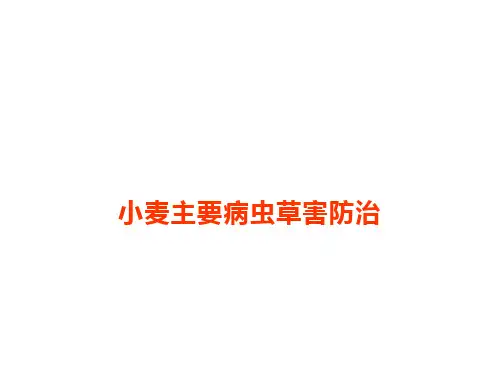 小麦病虫草害防治