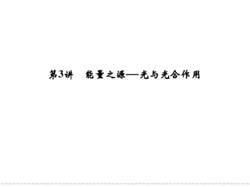 2013高三生物一轮复习课件(人教版)：1-3-3能量之源——光与光合作用