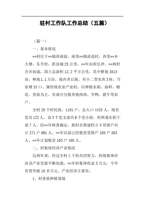 驻村工作队工作总结五篇篇二