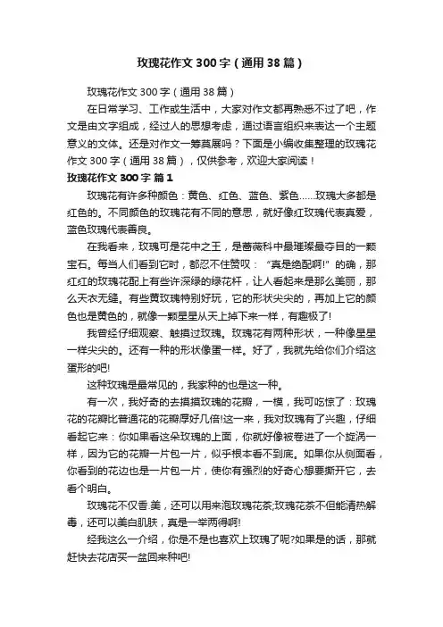 玫瑰花作文300字（通用38篇）