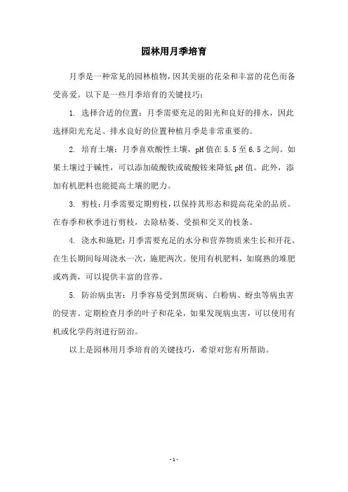 园林用月季培育