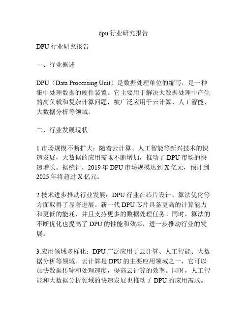 dpu行业研究报告