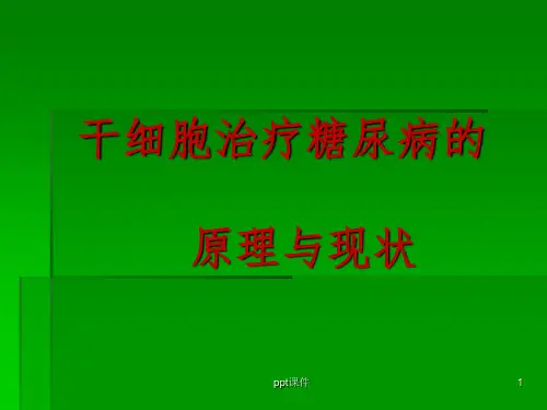 干细胞移植在糖尿病治疗上的应用PPT课件