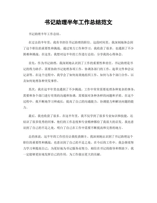 书记助理半年工作总结范文