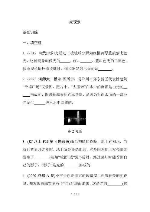 2021年人教版物理中考专题训练  光现象