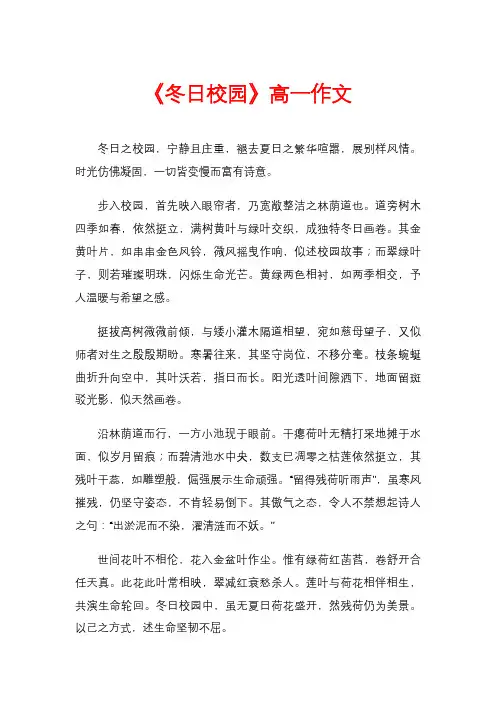 《冬日校园》高一作文