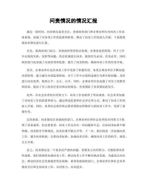 问责情况的情况汇报
