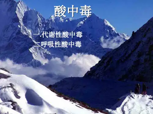 酸中毒PPT课件