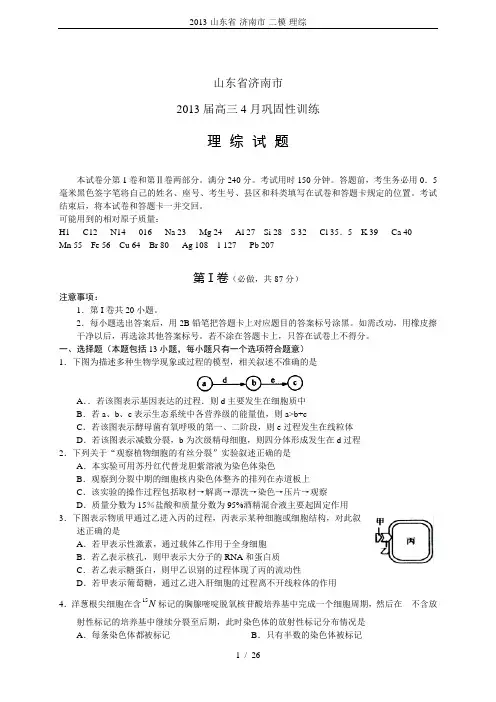 2013-山东省-济南市-二模-理综
