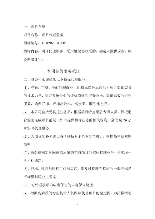 项目代理服务实施方案