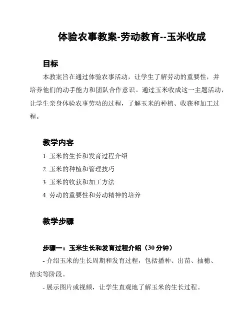 体验农事教案-劳动教育--玉米收成