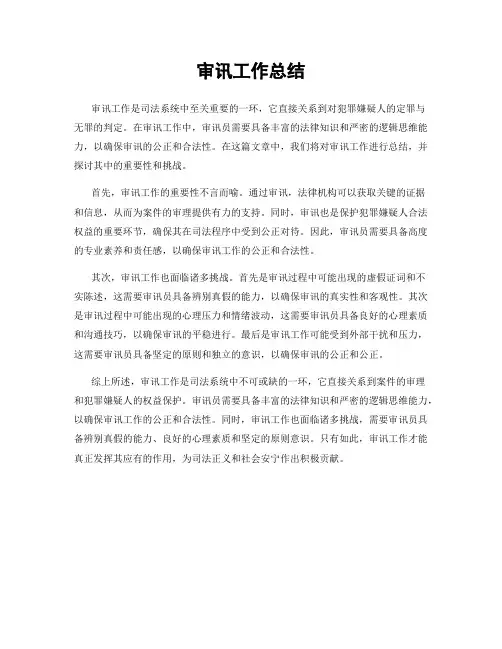 审讯工作总结