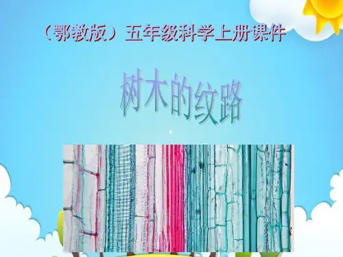 鄂教版小学科学五上树木中的纹路课件