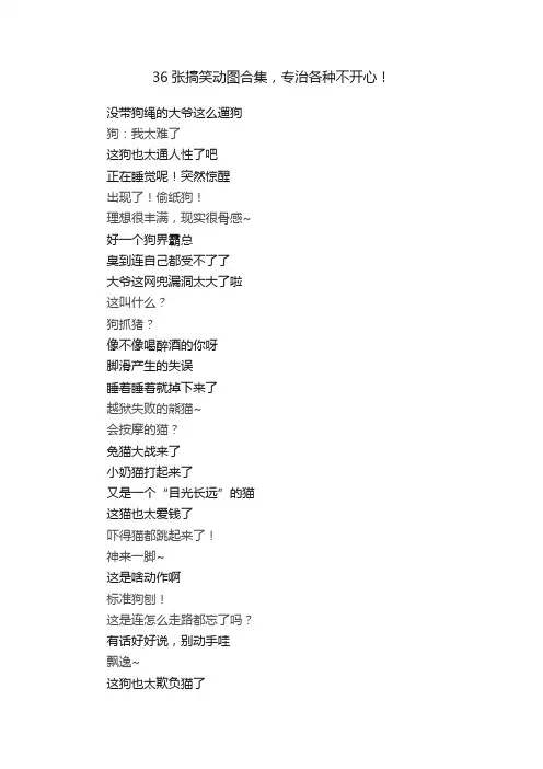 36张搞笑动图合集，专治各种不开心！