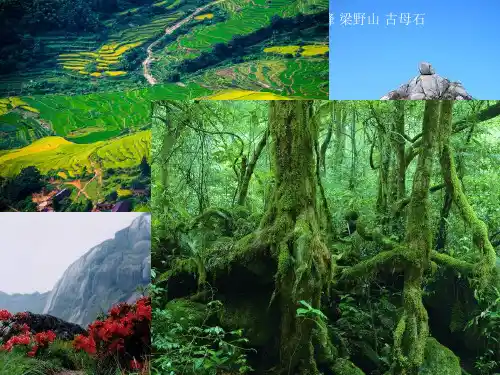 我的家乡武平县