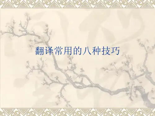 英汉互译八种技巧 ppt课件