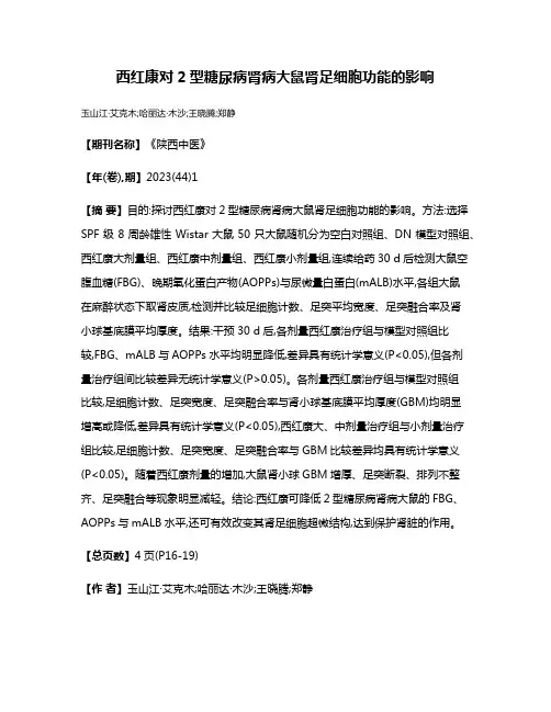 西红康对2型糖尿病肾病大鼠肾足细胞功能的影响