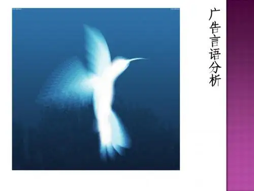 广告言语分析