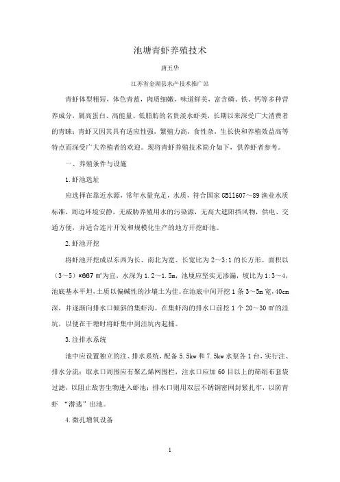 池塘青虾养殖技术