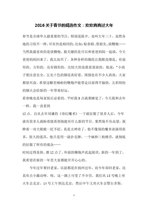2016关于春节的精选作文：欢欢喜喜过大年