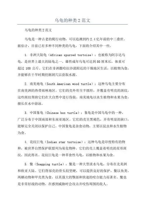 乌龟的种类2范文