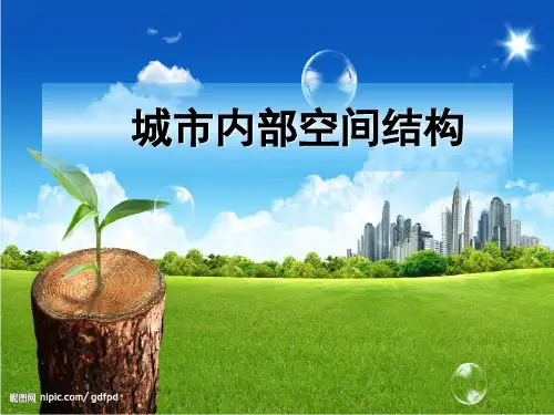 城市空间结构(公开课)