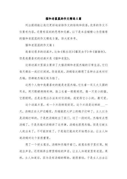 猫和老鼠鼠的作文精选5篇