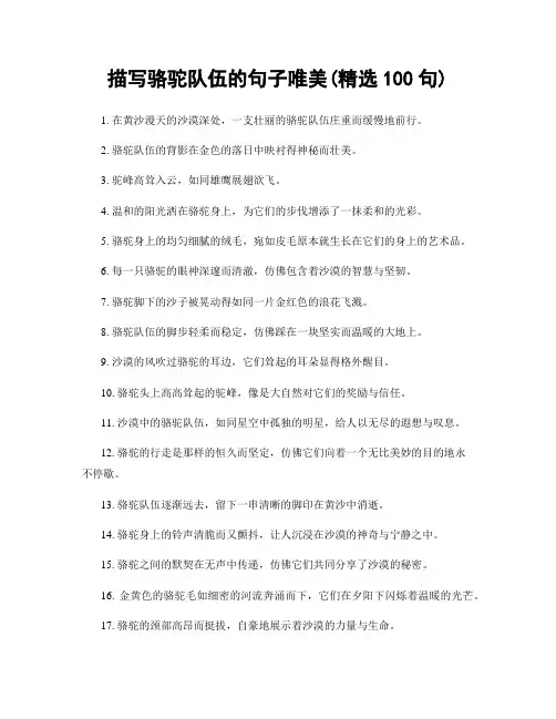 描写骆驼队伍的句子唯美(精选100句)
