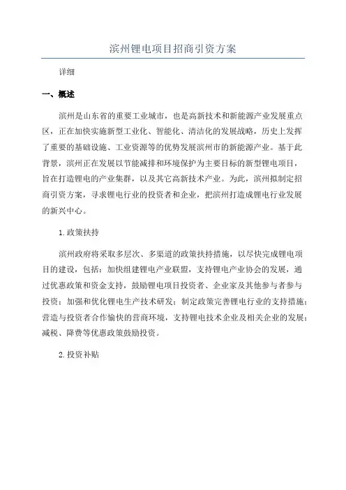 滨州锂电项目招商引资方案