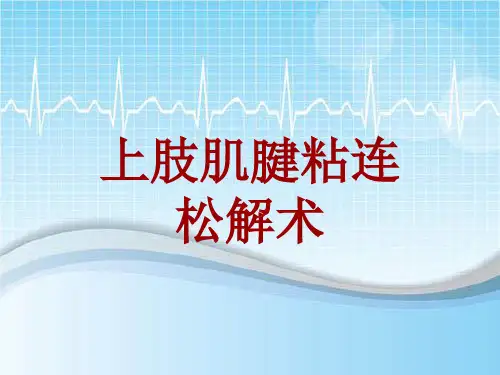 手术讲解模板：上肢肌腱粘连松解术