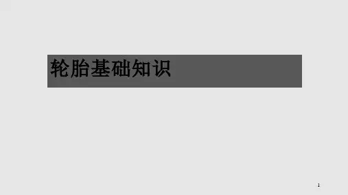 轮胎PCR基础知识